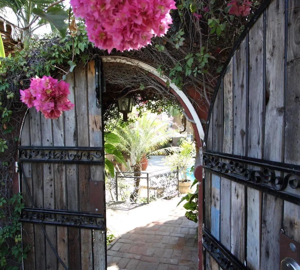 ****  The Bungalows Hotel Cabo San Lucas Meksyk